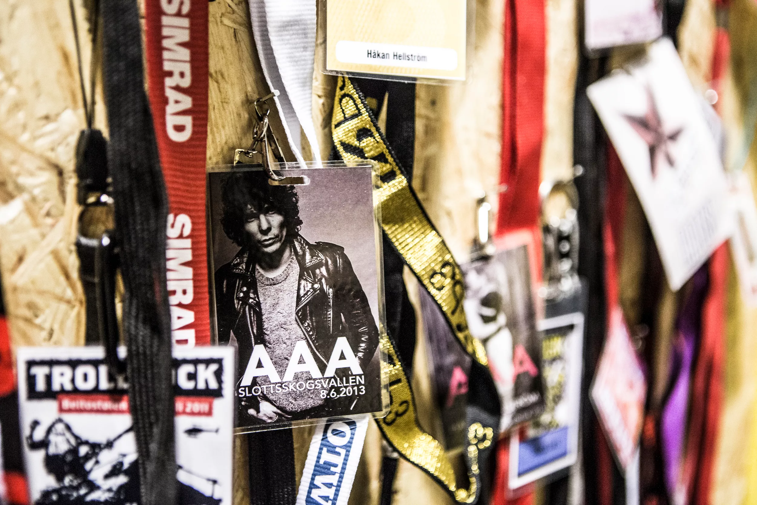 Håkan Hellström hylles med egen utstilling