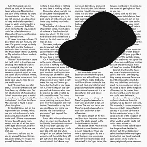 In Conflict - Owen Pallett