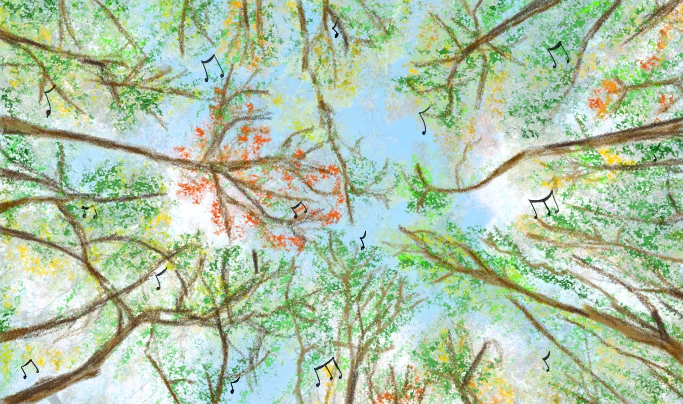 Grønne gaver: Orkester skrotter buketterne til fordel for klimaet