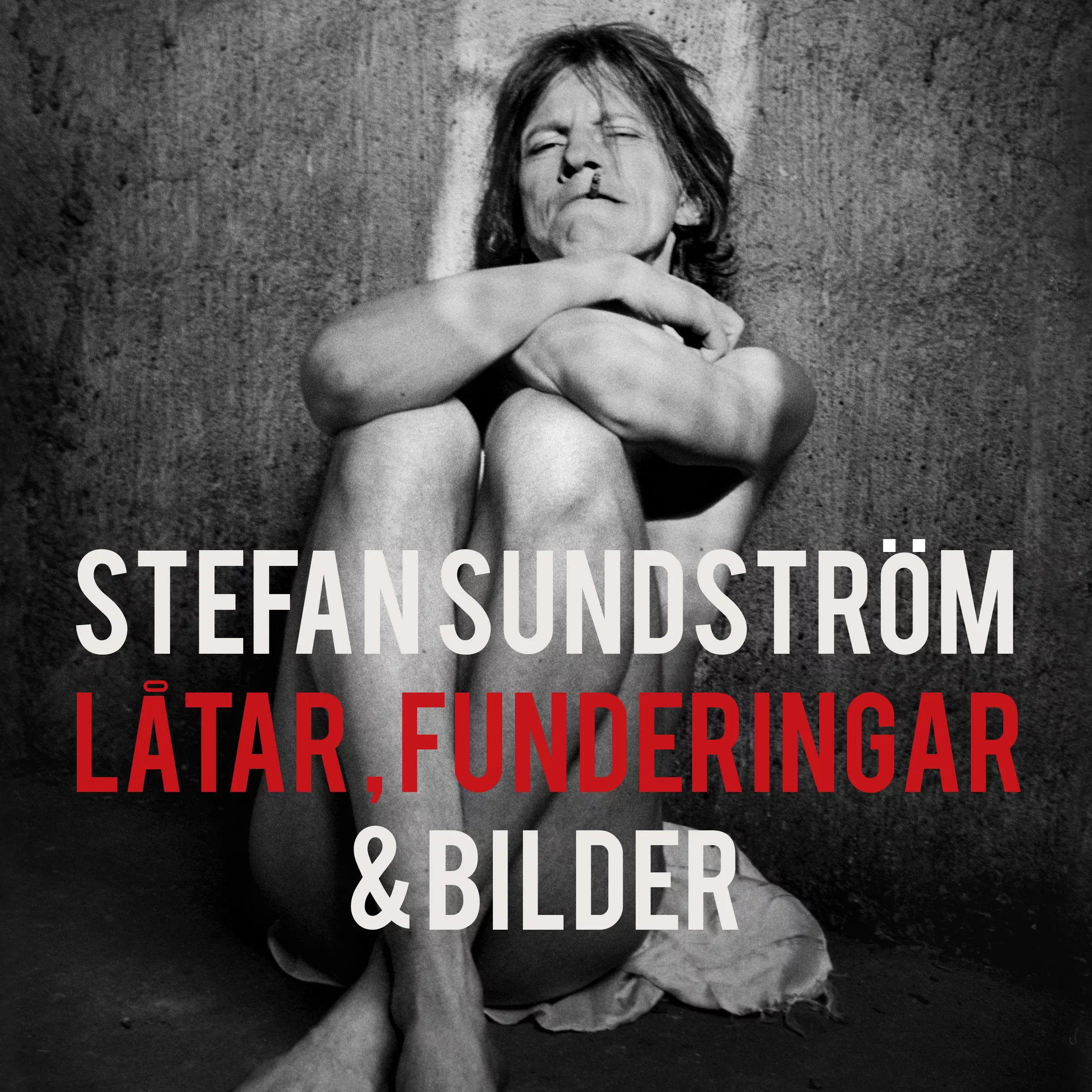 Stefan Sundström: Låtar, Funderingar & Bilder - Stefan Sundström
