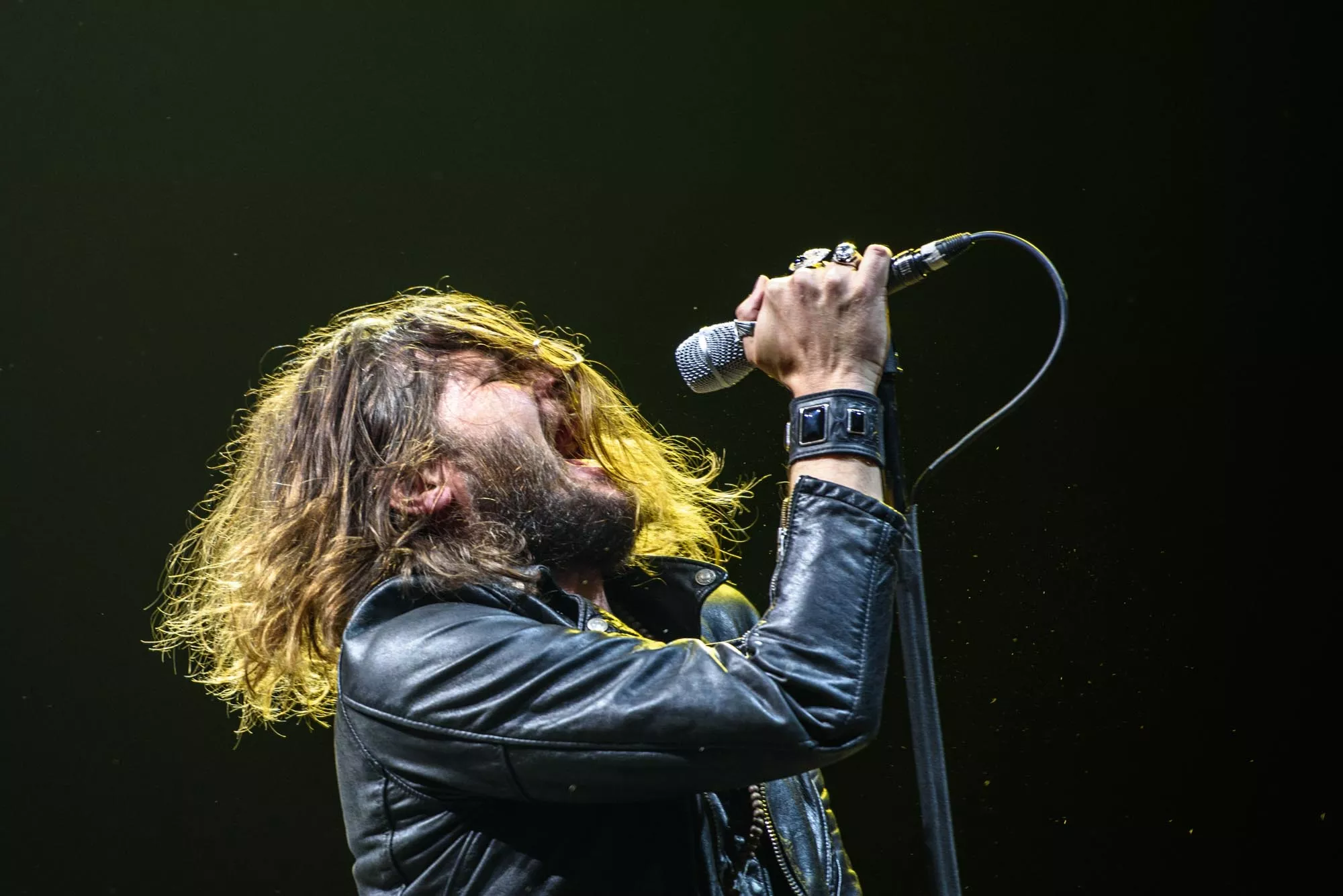 Rival Sons til Danmark