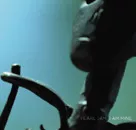 Pearl Jam-trackliste klar