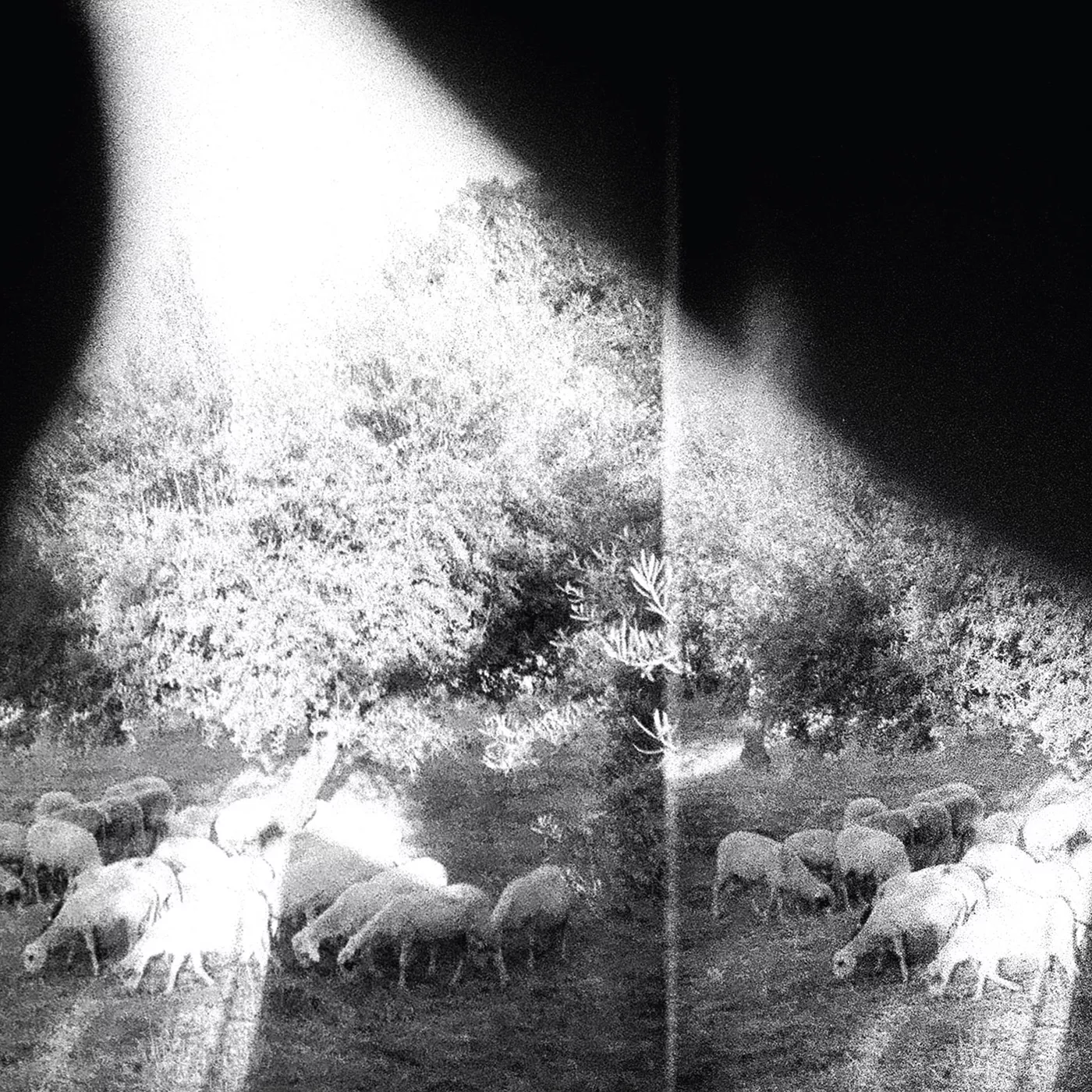 Godspeed You! Black Emperor til Norge