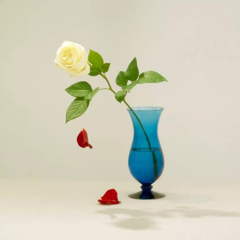 Declaration of Love - Schultz and Forever