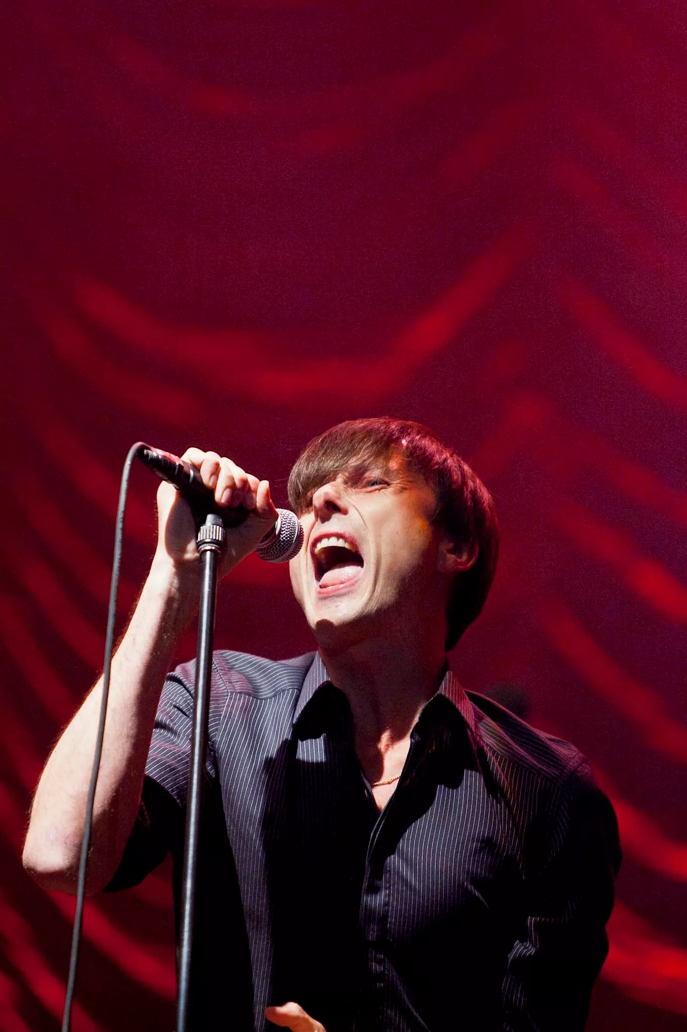 Suede arbejder på nyt album