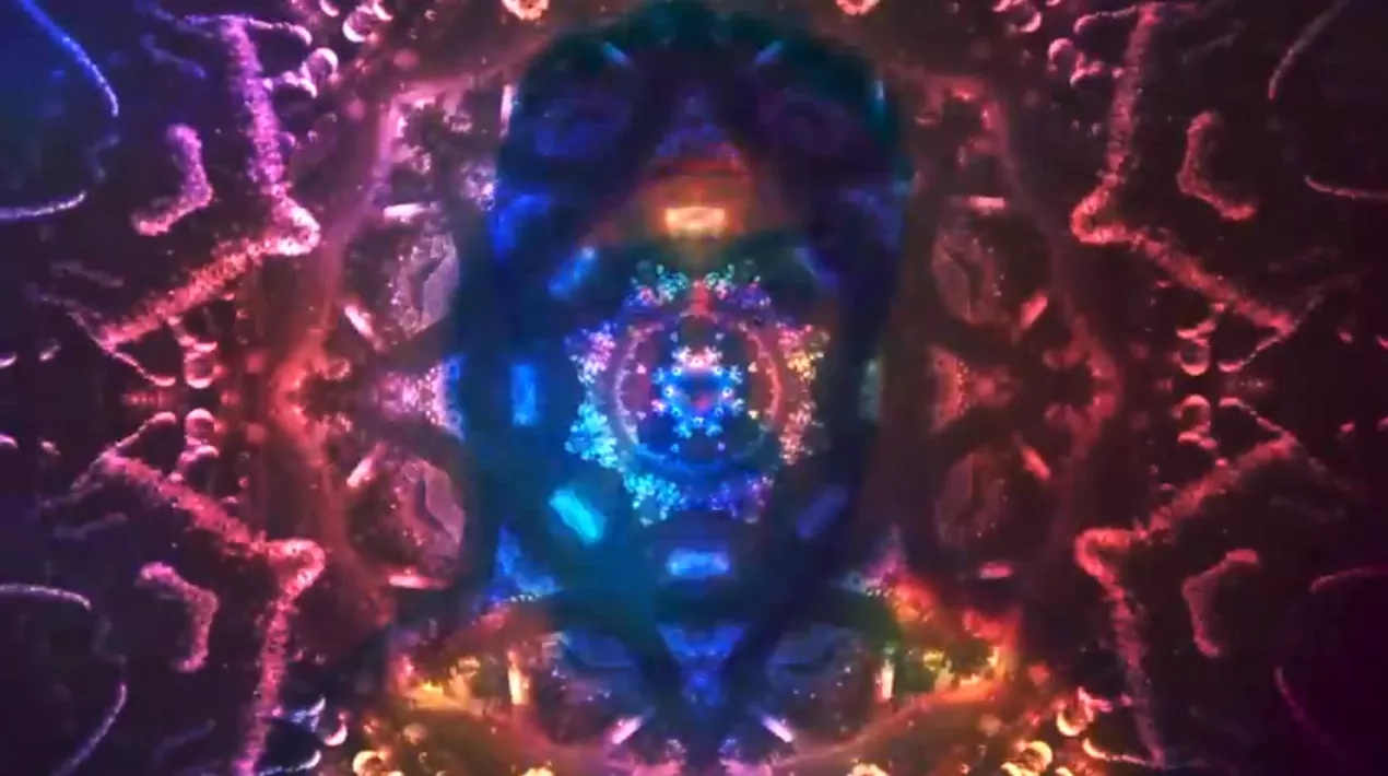 VIDEOPREMIÄR: Humfree Bug Art - With Nights And Lights