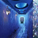 Interpol-trommeslager i nyt sideprojekt