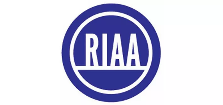 Amerikaner skal betale millioner for 24 piratkopier