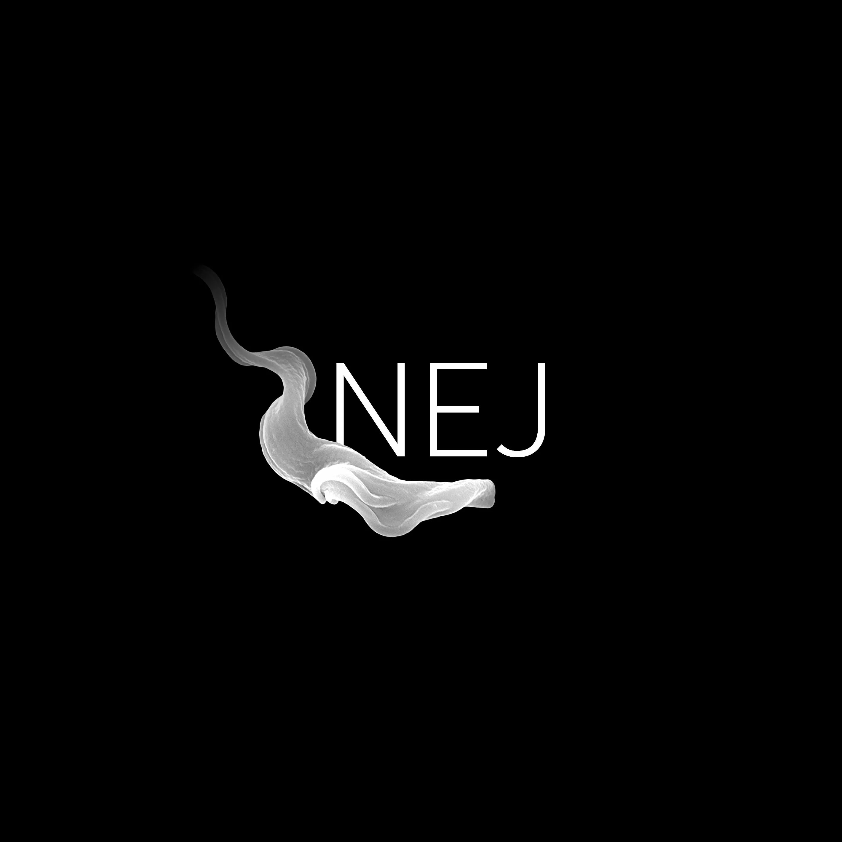 Nej – Nej