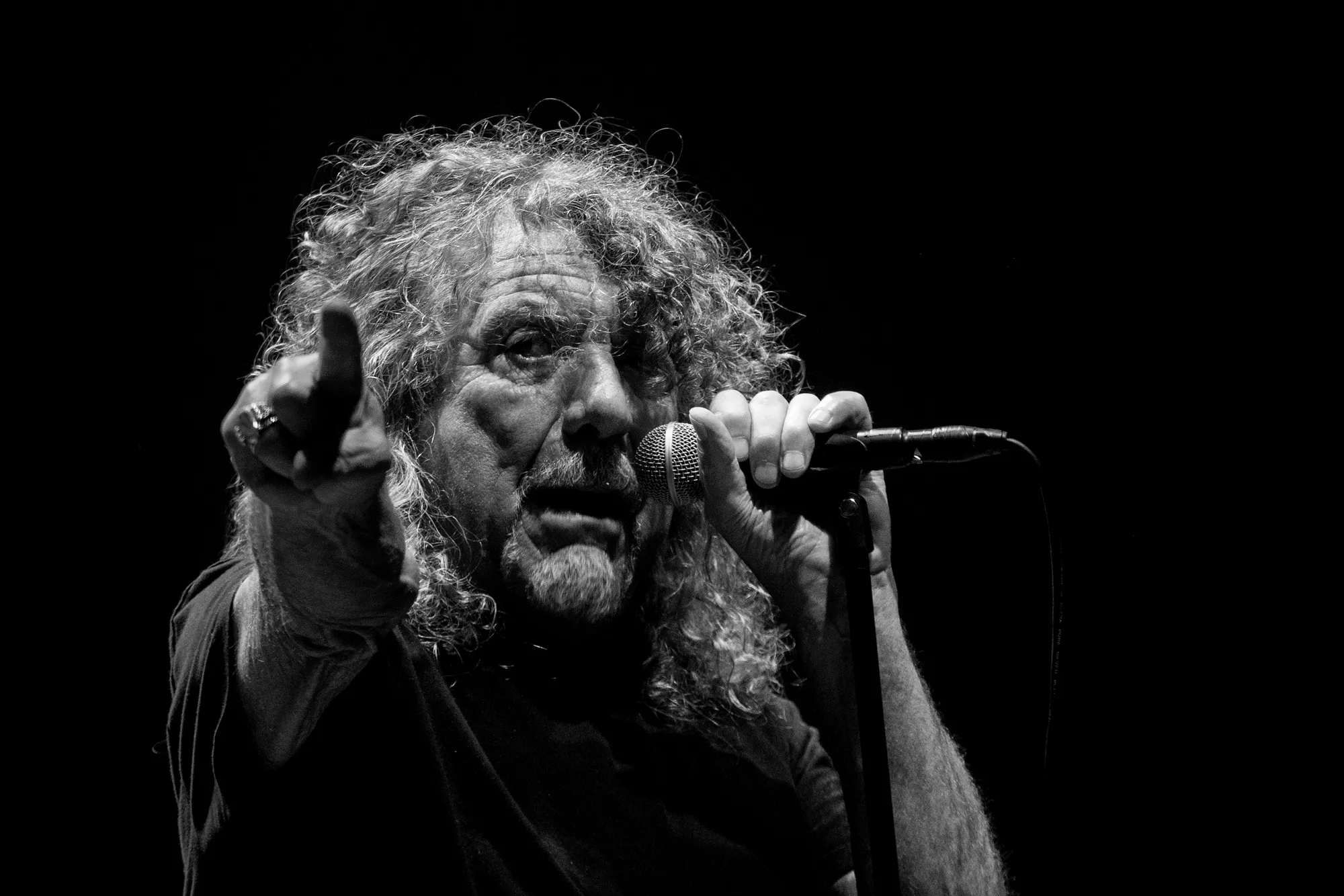 Den gamle hanløve brølede magisk og øredøvende