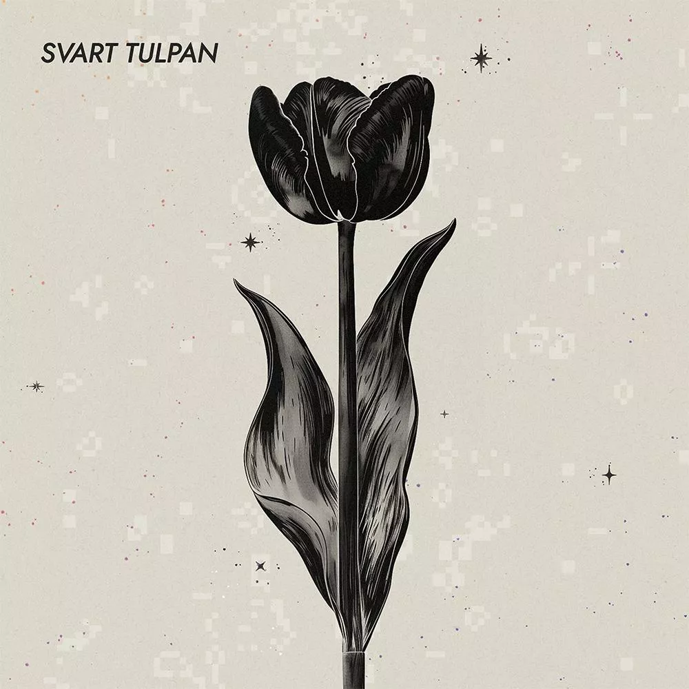 Svart Tulpan - Svart Tulpan