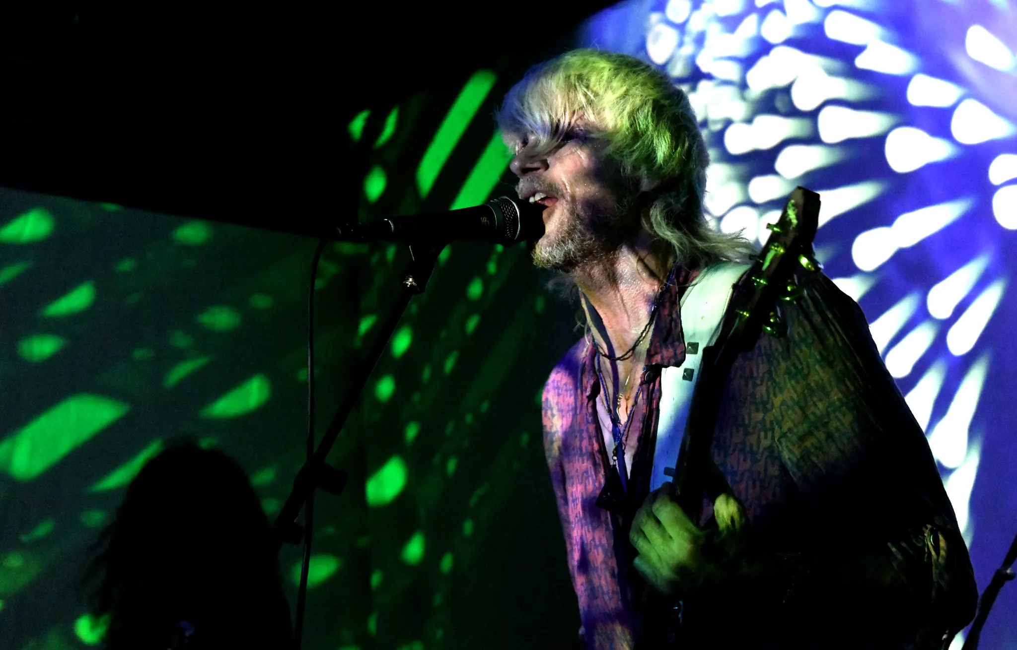 Billeder taget af Peter Langwithz Smith