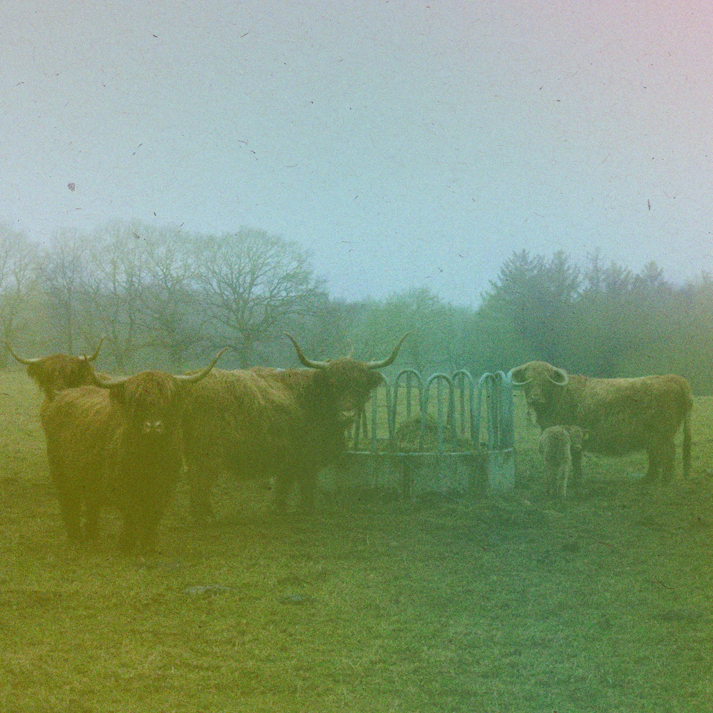 Book Of The Sad Lovers - The Sad Lovers