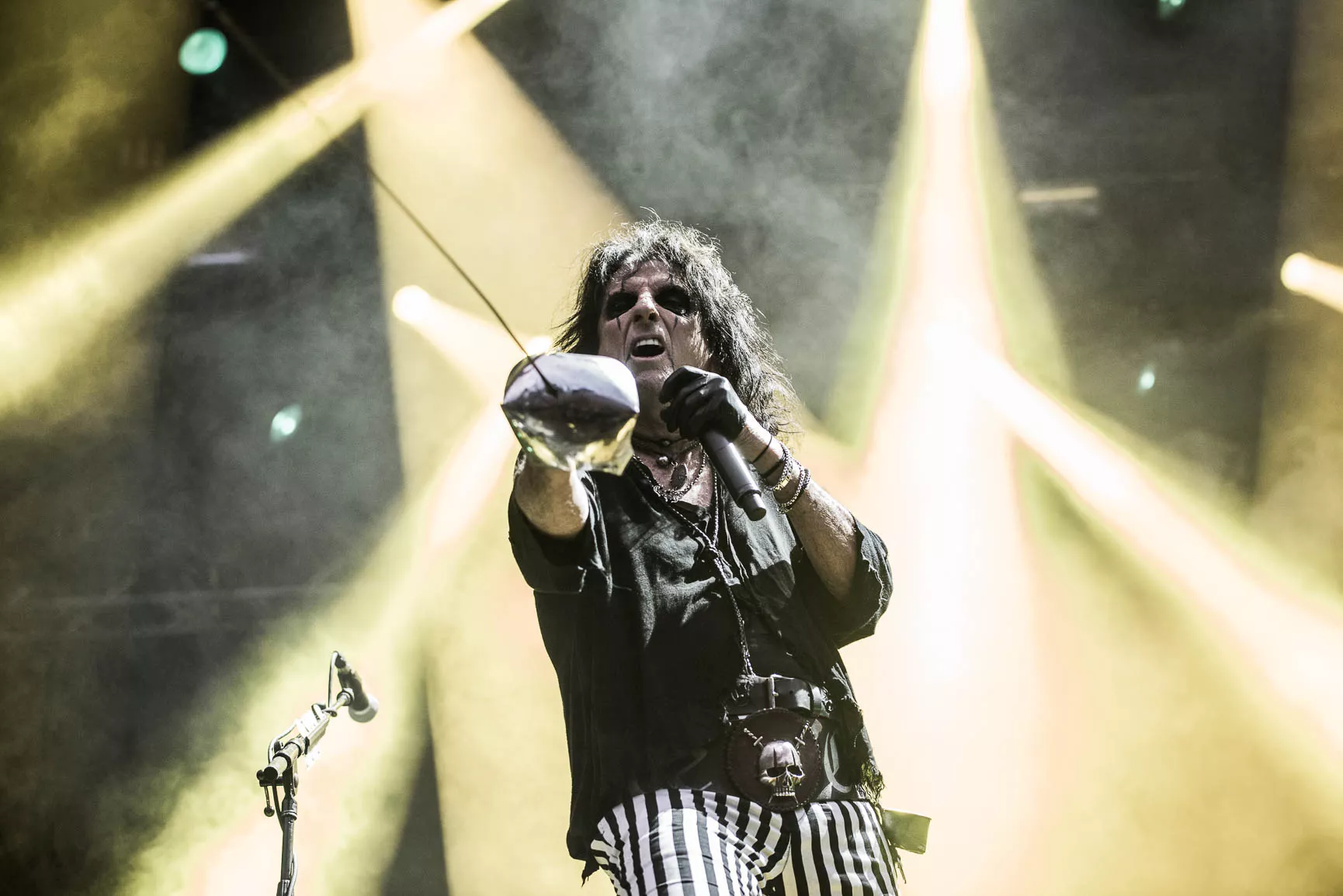 Ville du stemme på denne mand?