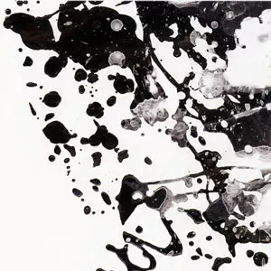 Solus Ipse - Thunderbear