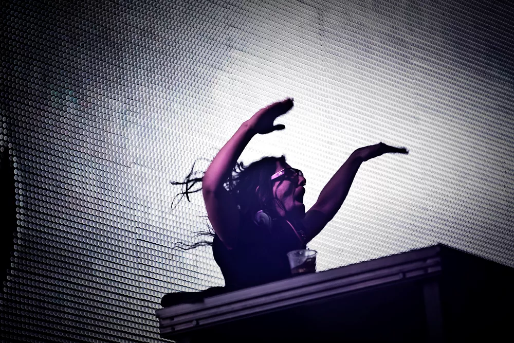 Skrillex stäms för stage dive