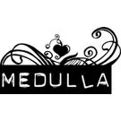 Flere detaljer om nyt Björk-album