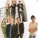 Labrador-album udkommer i hele Norden