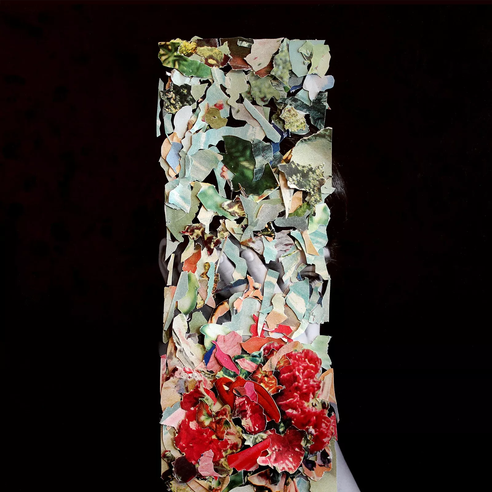 A Taller Us - Foxtrott