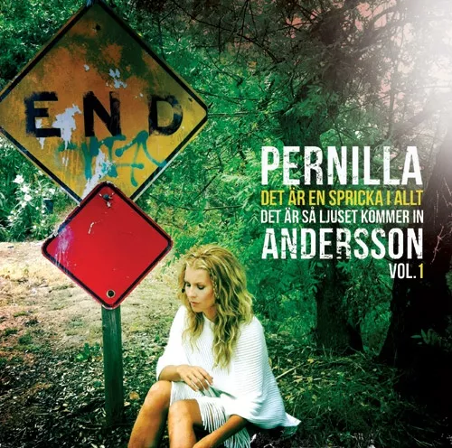 Det Är En Spricka I Allt, Det Är Så Ljuset Kommer In - Pernilla Andersson