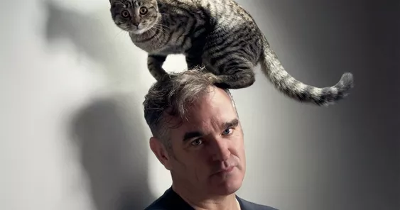 Morrissey kritiserer Madonna