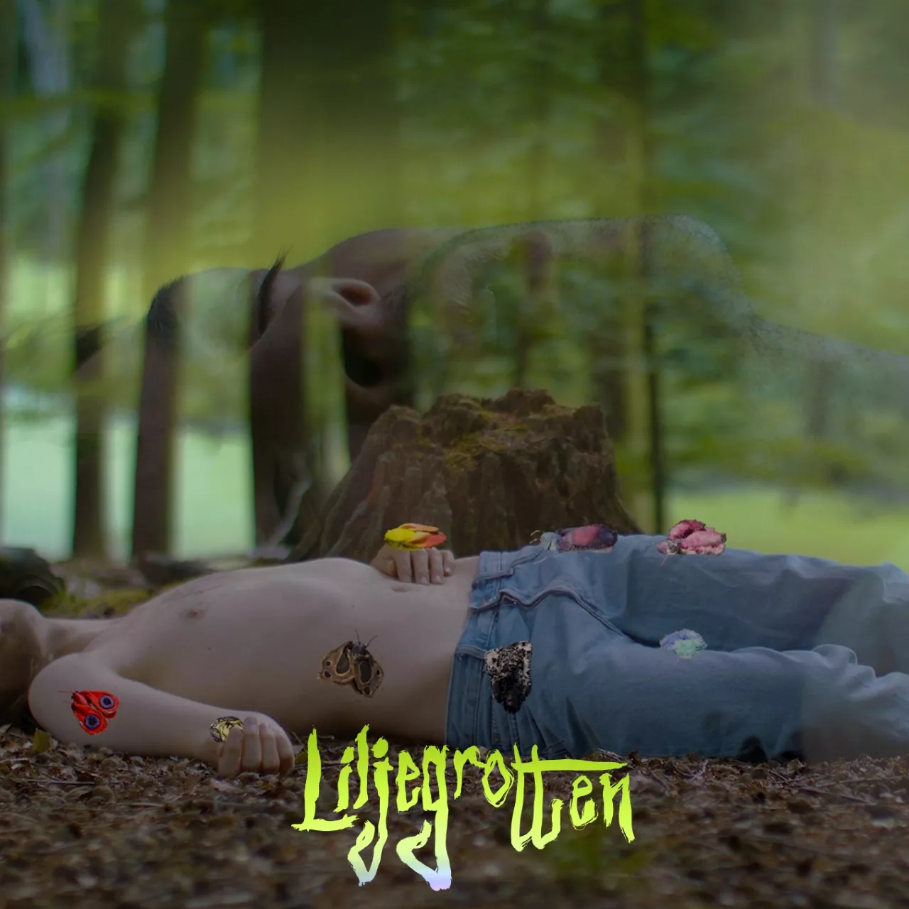 Liljegrotten - Kim Kim