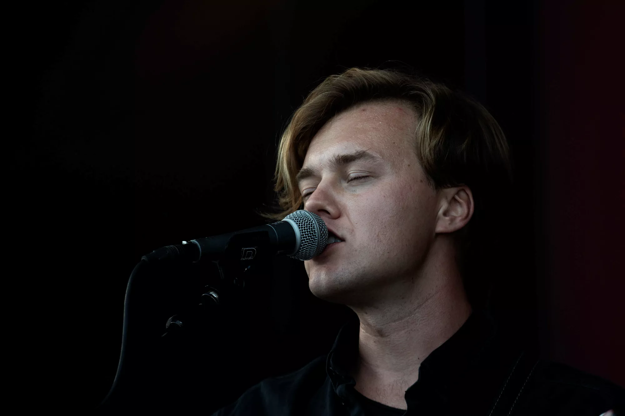 Glat hud, hærget vokal