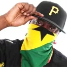 Sway får kvalificeret hjælp