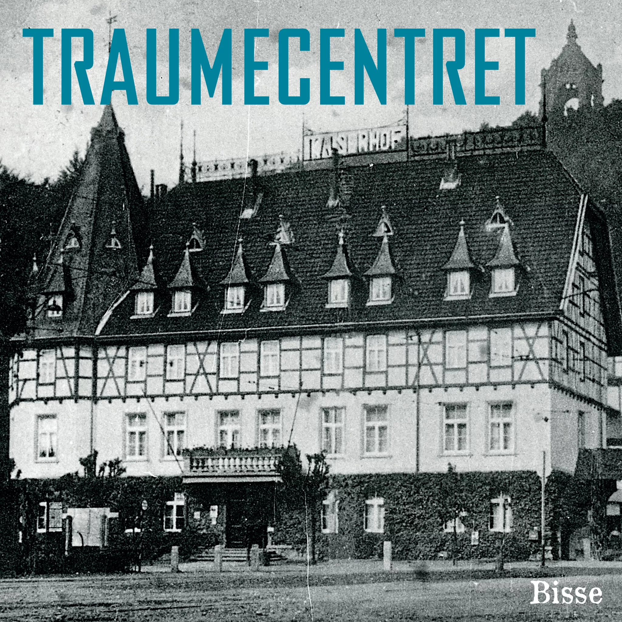 Traumecentret - Bisse