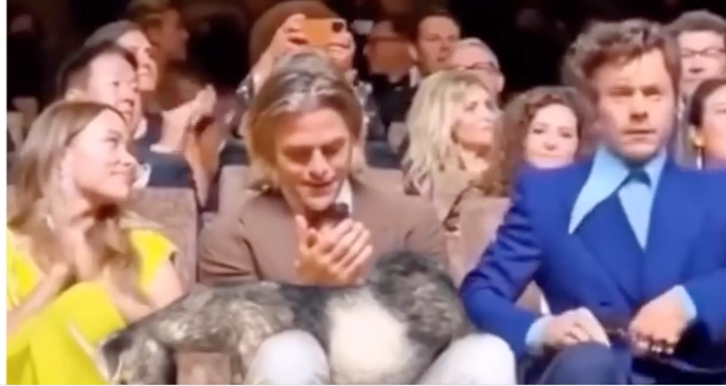 Internet driver med Harry Styles påstådda spottattack