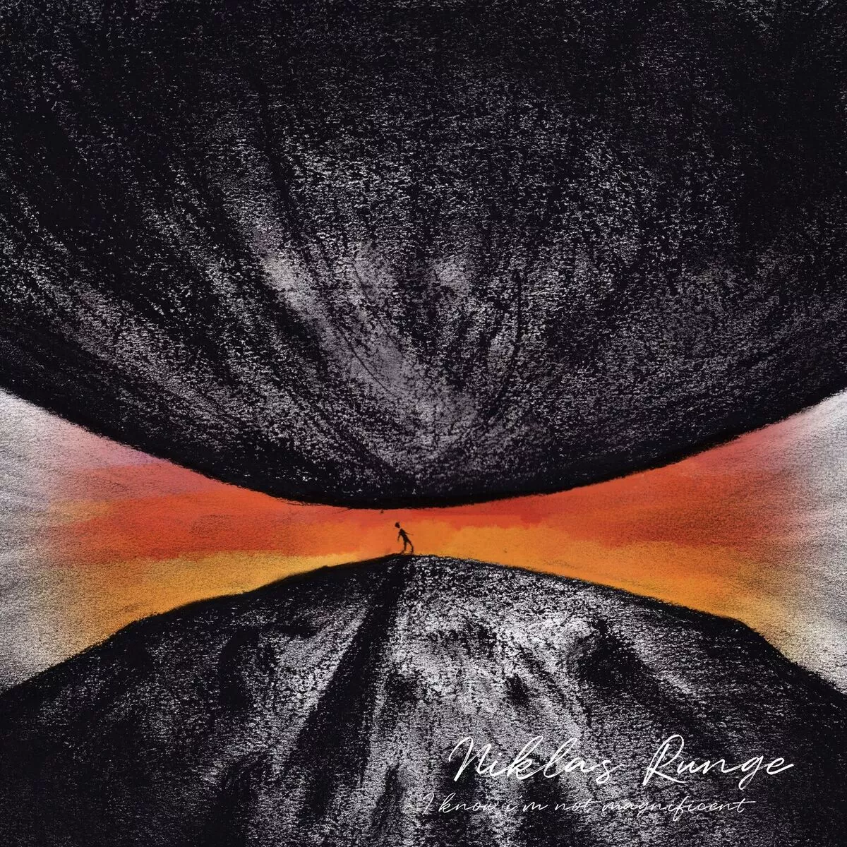 I Know I'm Not Magnificient - Niklas Runge