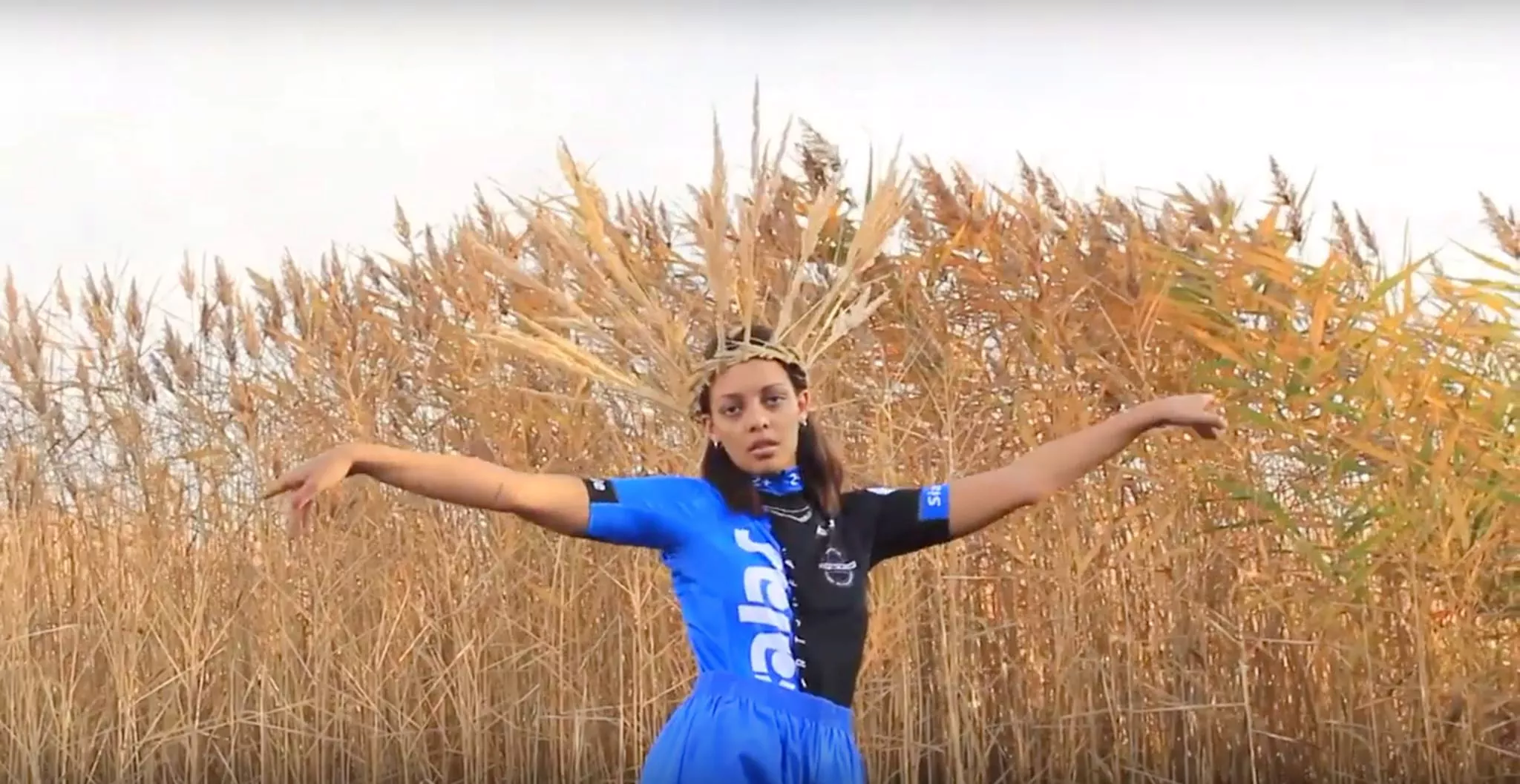 Et tusmørke af hård teknologi