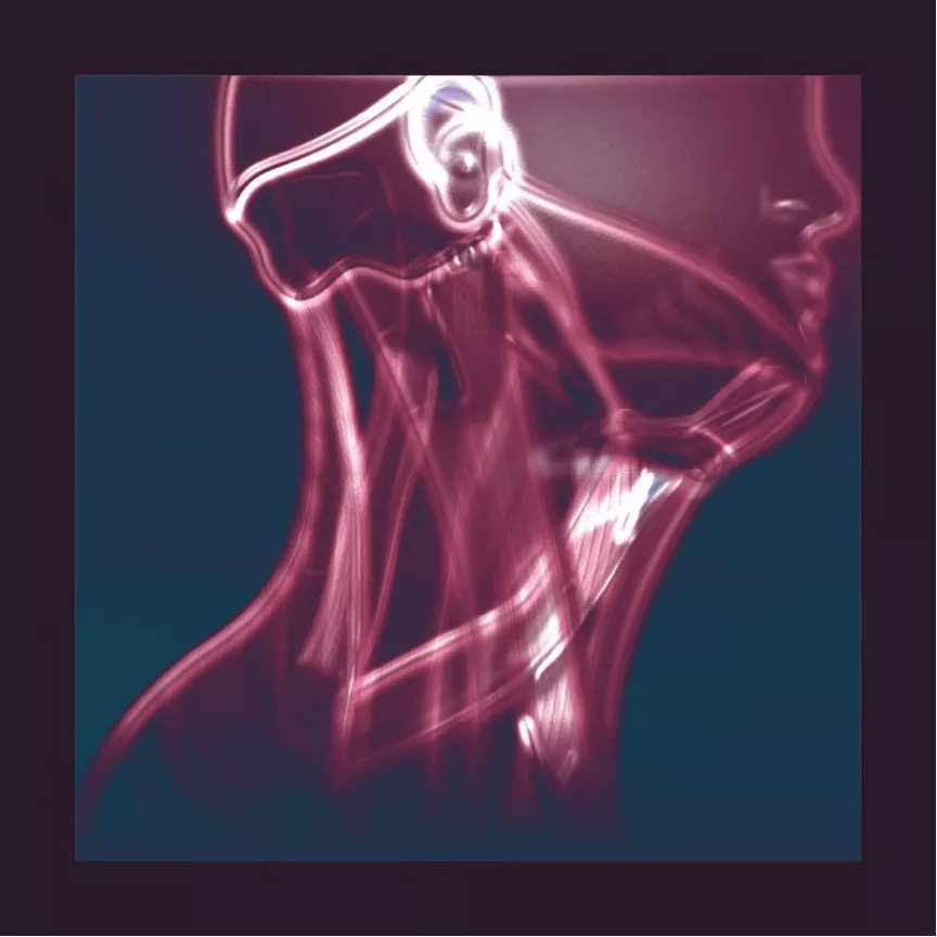 The Flow In Between - Tales Of Murder And Dust