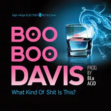 What Kind Of Shit Is This? - Boo Boo Davis Prod. by BLu ACiD