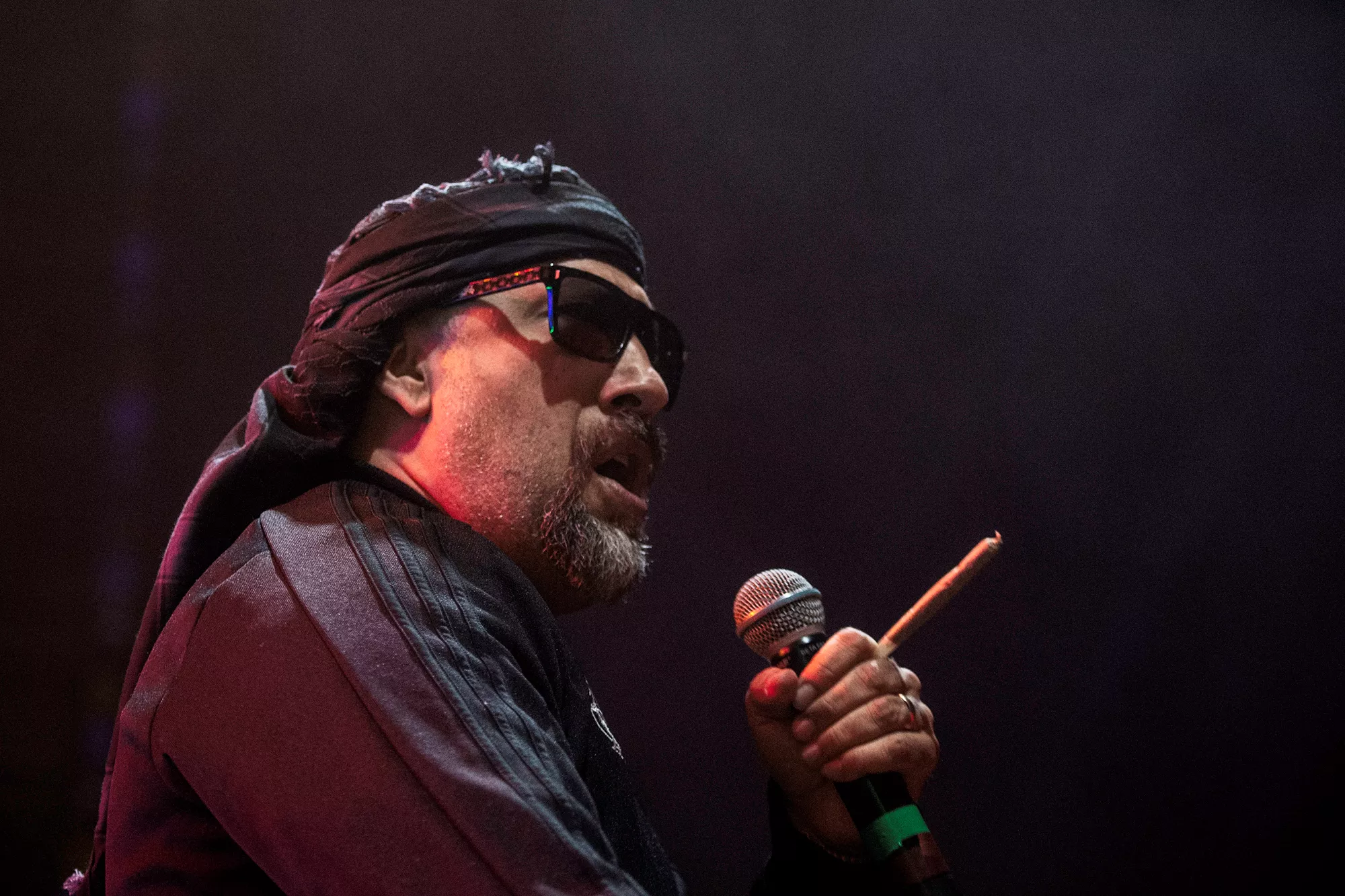 De sidste hits fra bonghovederne