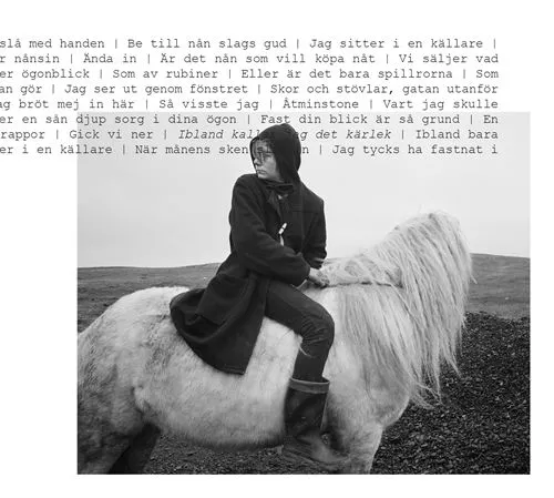 Ibland kallar jag det kärlek - Toni Holgersson