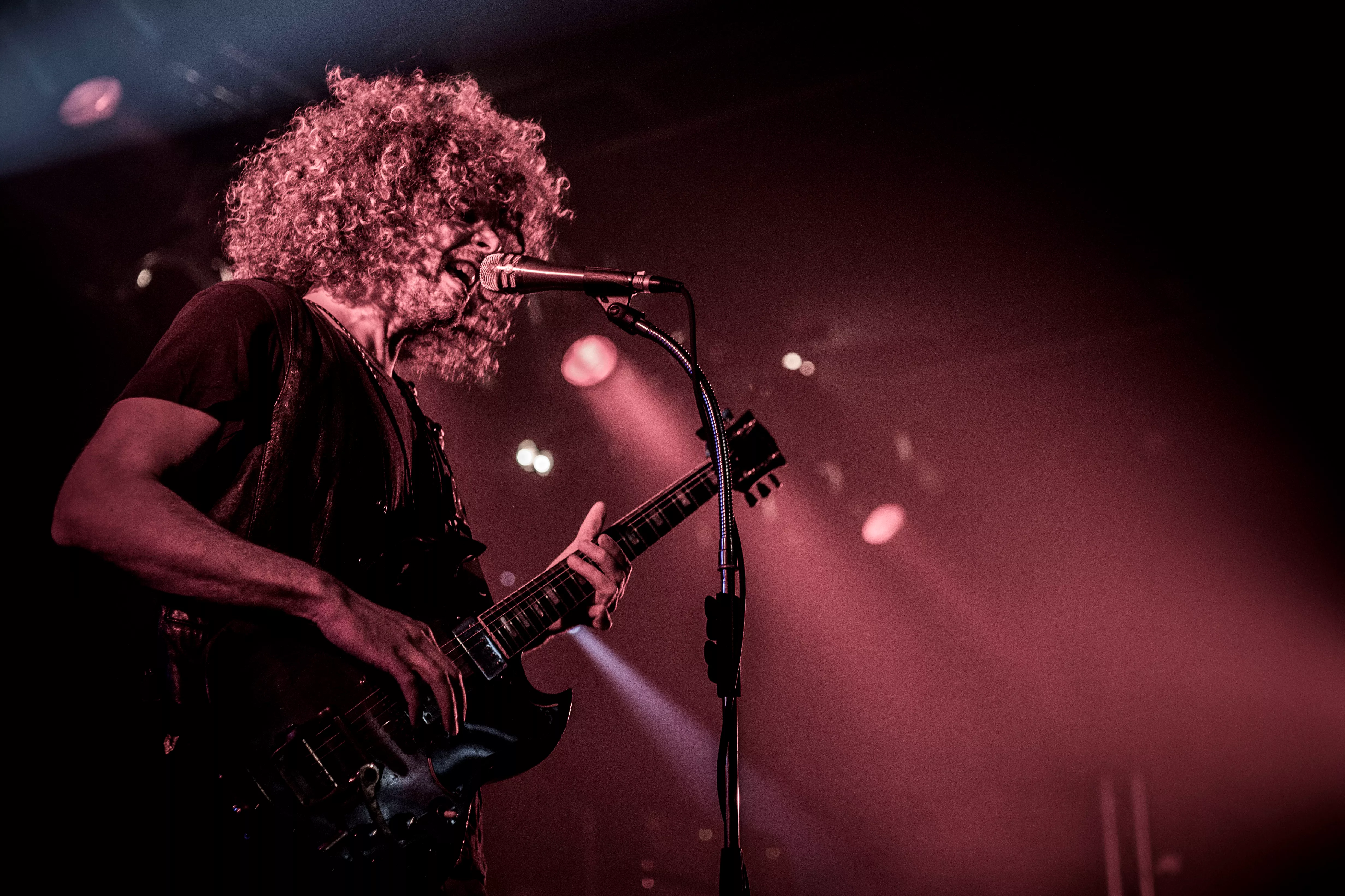 Maratoninterview med Wolfmother: De australske hardrockere fortæller hele historien