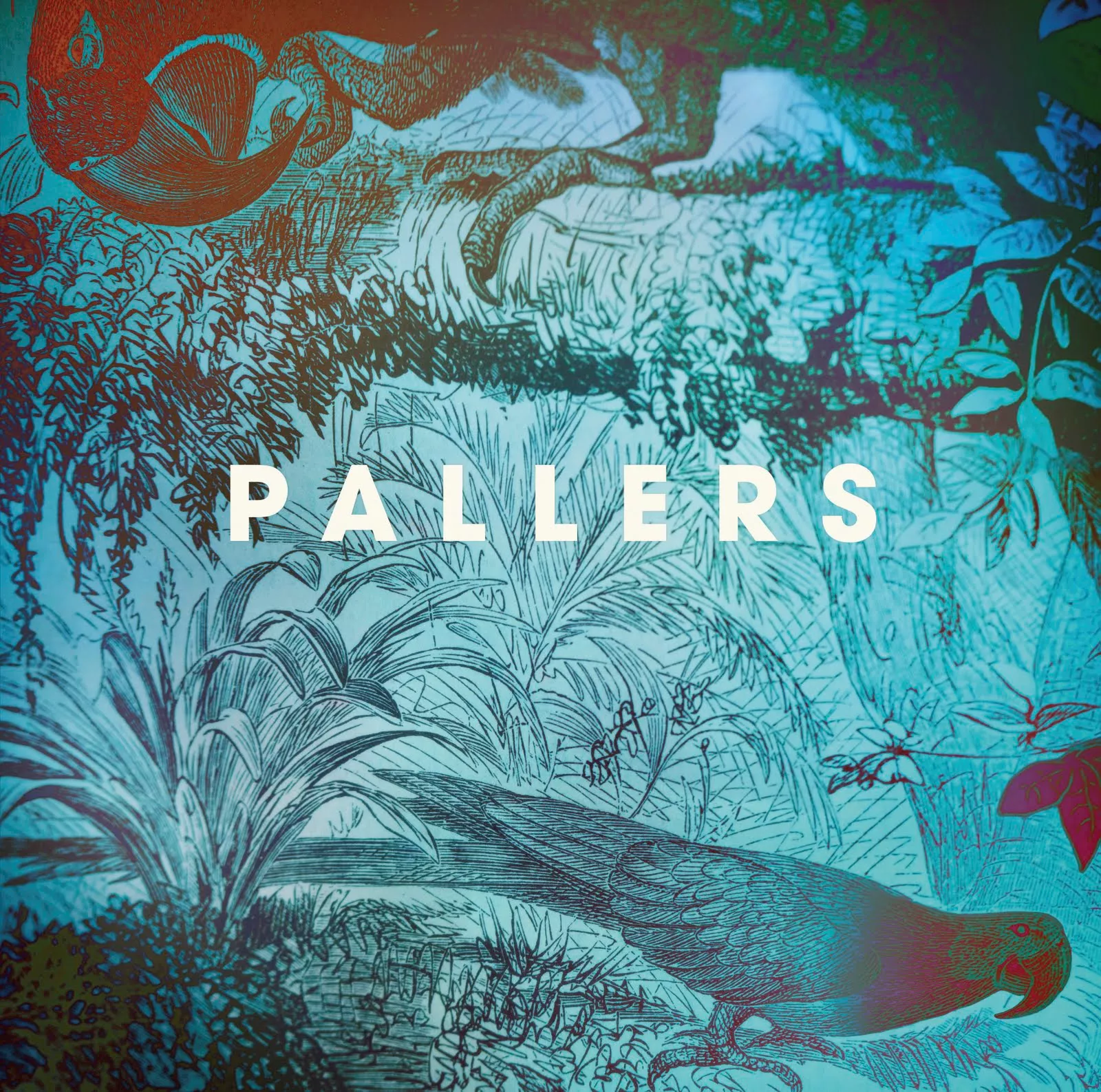 The Sea of Memories - Pallers