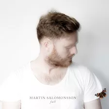 Fall - Martin Salomonsson