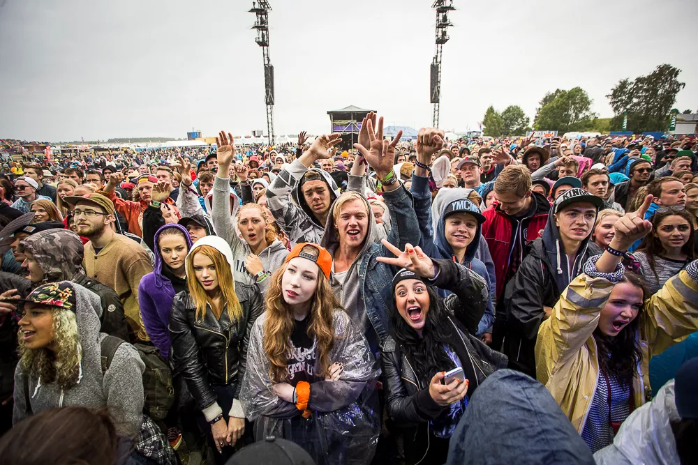 Svenska punkikoner återförenas på Bråvalla