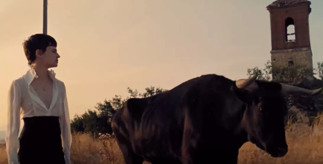 VIDEO: Christine and the Queens side om side med tyr mod solnedgangen