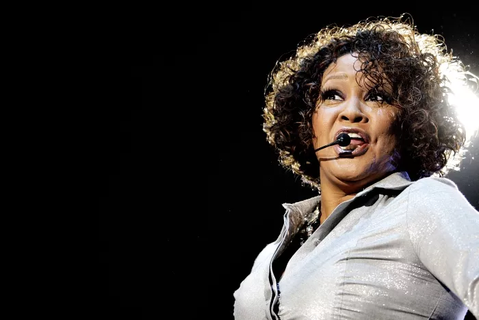 Whitney Houston: København, Forum