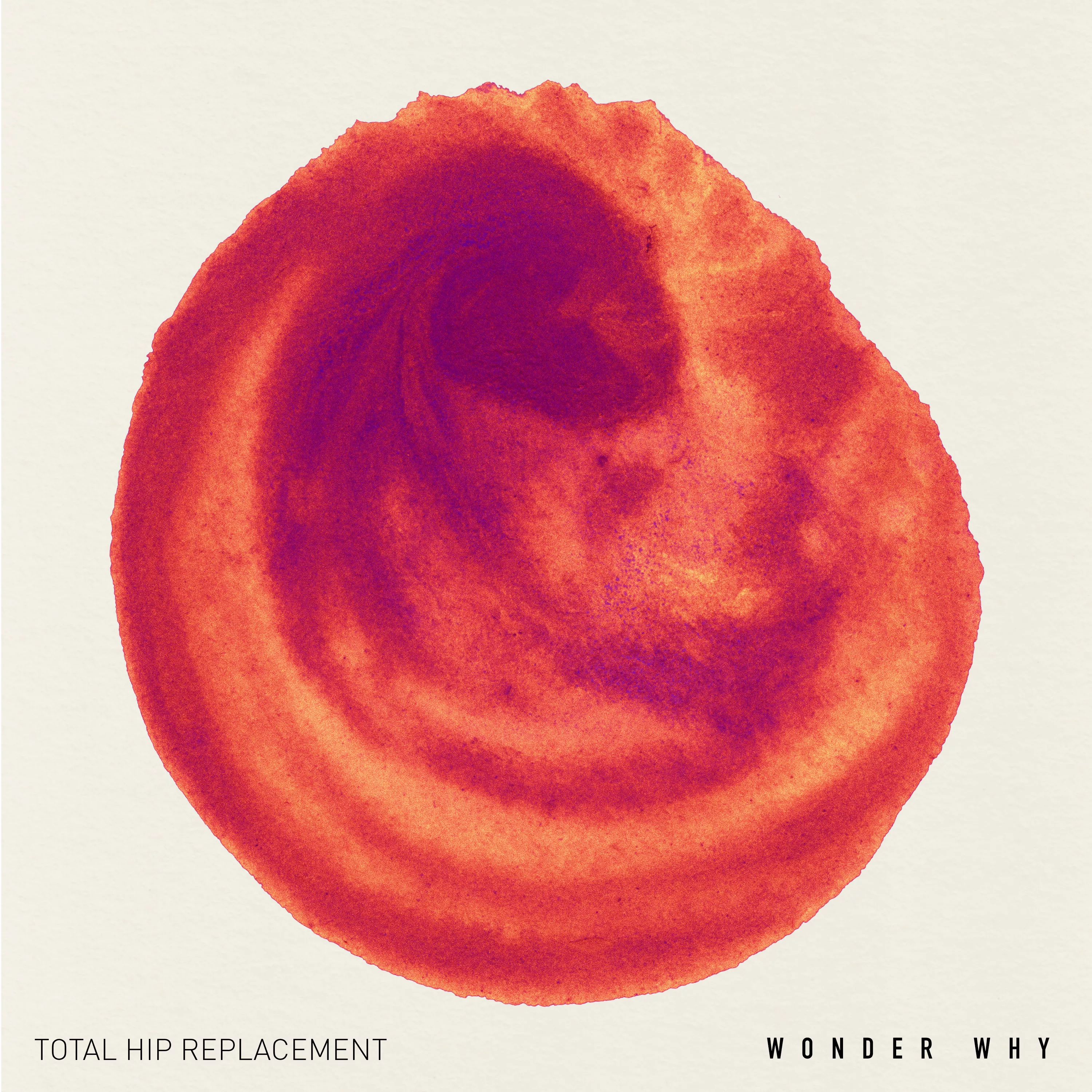 Wonder Why - Total Hip Replacement