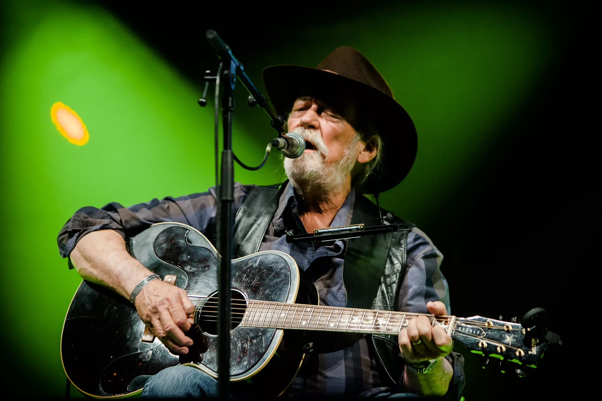 Diverse kunstnere: Townes Van Zandt hyldest, Telt 1, Tønder Festival