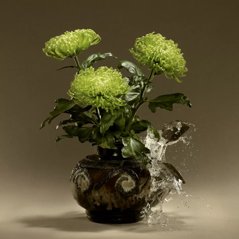 Altmodisch - Altmodisch