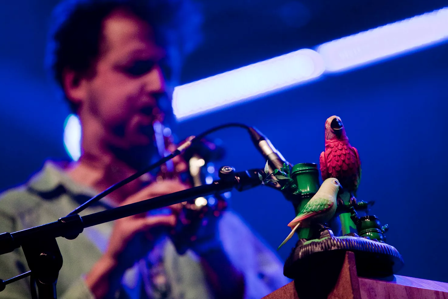 Frisk Frugt: Spot Festival, Atlas, Aarhus