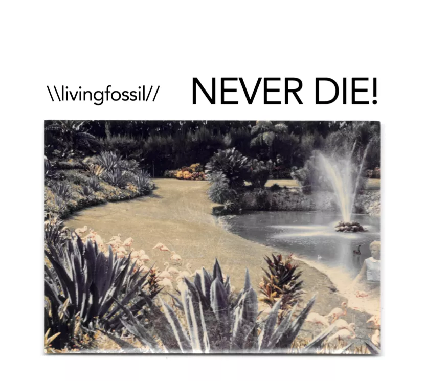 Never Die! - livingfossil