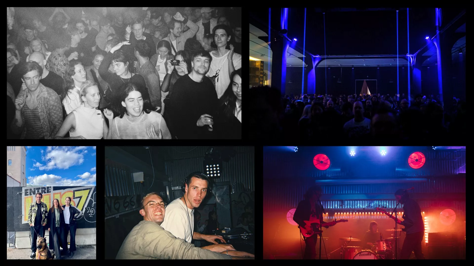 Slakthusteamet (längst ner till vänster i kollaget) från vänster till höger: Erik Melin, Camilla Sannabo, Julia Boman, Gizmo (hunden)