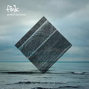 Perfect Darkness - Fink