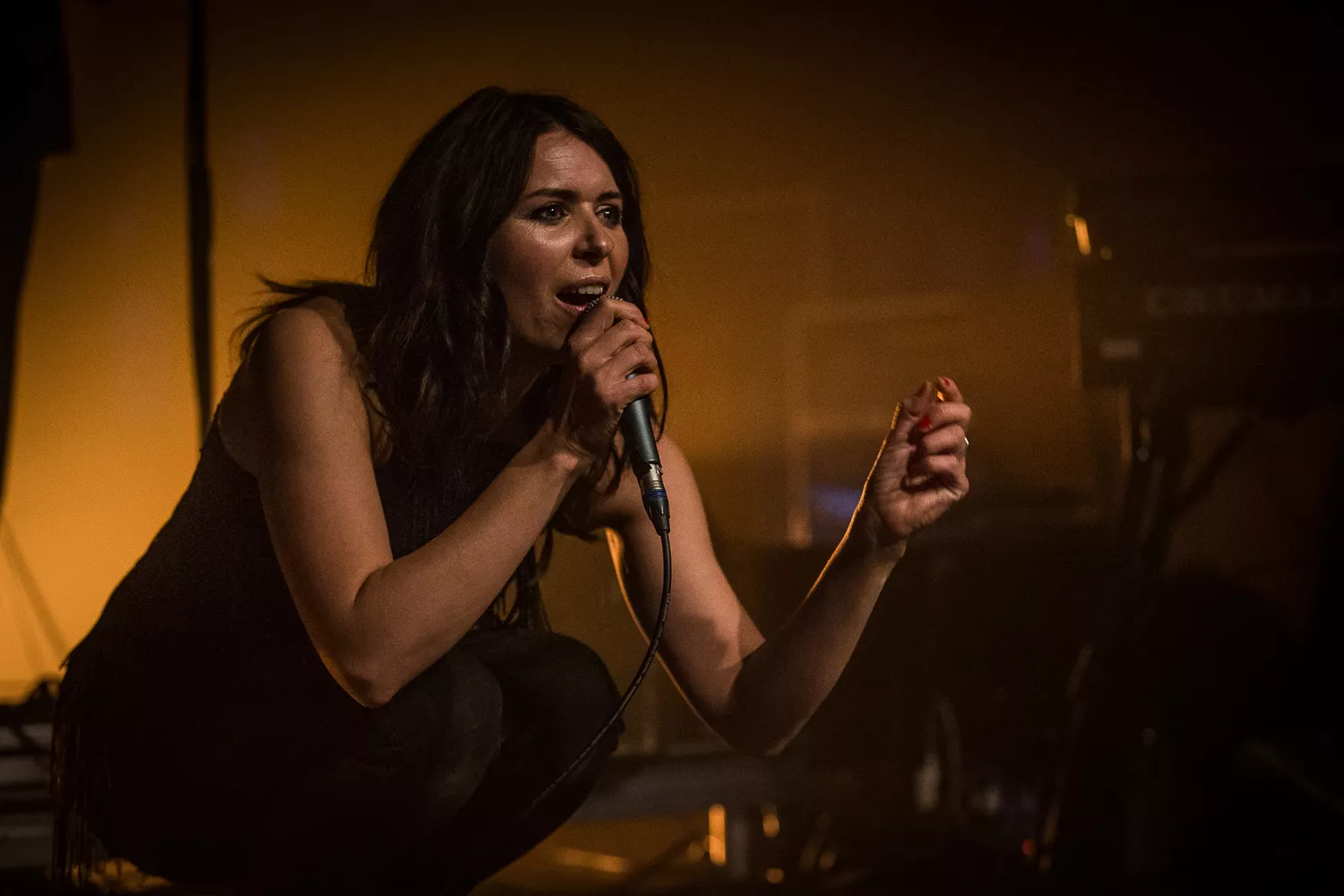 Glædeligt gensyn med dem, vi mangler